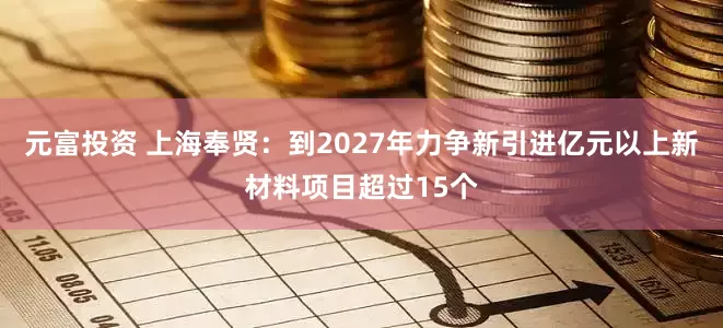 元富投资 上海奉贤：到2027年力争新引进亿元以上新材料项目超过15个