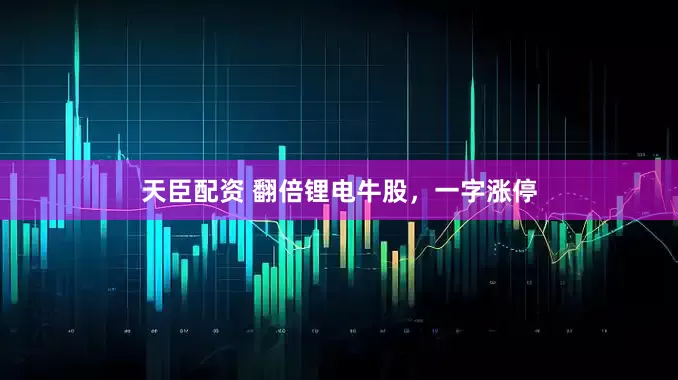 天臣配资 翻倍锂电牛股，一字涨停